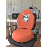 Officekup Visco Gamer Oyuncu Bel Yastığı ve Yuvarlak Oturma Minderi 2'li Set Turuncu Kedi