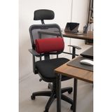 Ofis Bel Destekleyici Yastik Ortopedik Bel Destekleyici Ofis Sandalyesi Yastigi (Cok Amacliyastik) - 45 x 30 cm - Bordo