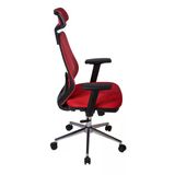 Ofisbazaar Dali Fileli Yönetici Koltuğu | Ergonomik Başlıklı Ofis Koltuğu Kırmızı