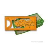 Ofisyıldız38 Plastik Türkiye Harita Şablonu 2'li Set – Turuncu, 20x10 cm, Bölge Desenli Kapaklı Tasarım