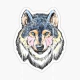 Öfkeli Kızgın Kurt Araba Sticker Oto Yapıştırması 18Cm S1