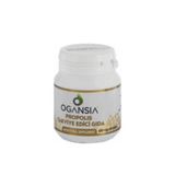 OGANSİA PROPOLİS