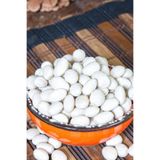 Öget Erzincan Şeker Fasülye 1 Kg - ÖGT