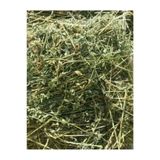 OGWANTO Yonca Kuru Kemirgen Otu 350 gr Bol Çiçekli | Doğal Tavşan Yemi | Hamster İçin Premium Yem