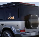 Ohbe Express Arabadan Dışarı Bakan Sarman Kedi Stickerı - 0 - 1 Ay