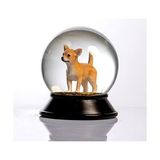 Ohbe Express Cam ve Reçine Altın Patiler Köpek Chihuahua (Kayısı) Kar Küresi Hediye - 0,35 lt