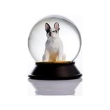 Ohbe Express Cam ve Reçine Altın Patiler Köpek French Bulldog (Beyaz) Kar Küresi Hediye - 0,35 lt