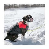 Ohbe Express Gooby - Dolgulu Yelek, Köpek Ceketi, Manto, Fermuarlı Kazak ve Keten Halkalı, Kırmızı, Beden L - # - -- - Option-1