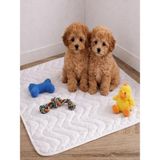 Ohbe Express Kedi Köpek Çiş Pedi 45X60 | Sıvı Geçirmez Yıkanabilir Emici | Hasta Alezi | 4 Ebat (45X60) - 001-Renkli - 100 x 100 cm