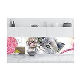 Ohbe Express Mutfak Tezgah Arası Folyo Kaplama Folyosu Kediler 60 x 300 - 01 - Beyaz - Option-1