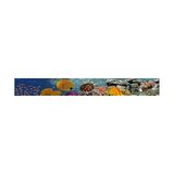 Ohbe Express Mutfak Tezgah Arası Folyo Kaplama Folyosu Kızıldeniz 60X200 cm - 01 - Beyaz - Option-1