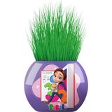 Ohbe Express Pırıl Temalı Çim Adam 6'lı Set – Çocuklar Için Eğitici ve Eğlenceli Bitki Yetiştirme Kiti