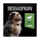 Ohbe Express Pro Plan Puppy Sensitive Digeston Kuzu Etli Yavru Köpek Maması 3 kg - 0,01 gr