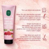 Ohbe Express Saç Bakım Spreyi 210, Şampuan 100 Ml, Tonik 500 Ml, Maske 250 ml Frambuaz ve Rosie Hediye - Option-1