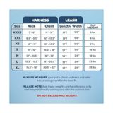 Ohbe Express Voyager -In Air All Weather File Kablo Demeti ve Yansıtıcı Köpek 1,5 M Neopren Saplı Tasma Kombo Pet Supplies Tarafından Küçük, Orta ve Büyük Irk Yavrular Için - Tasma Koşum Takımı (Bebek - # - Bordo