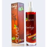 Oilive 100 ml Kantaron Yağı