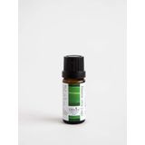 Oilwise 10 ml Limon Otu Yağı