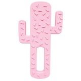 Oioi Pembe Diş Kaşıyıcı Kaktüs