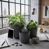 Okacih 3’lü Dekoratif Çizgili Saksı Seti 14-16-18 cm Modern Ribbed Iç Mekan Saksı