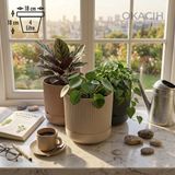 Okacih 3’lü Dekoratif Çizgili Saksı Seti 14 cm 1.8 Lt Modern Ribbed Tasarım Çiçek Saksısı (3 Renk)