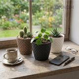 Okacih 3’lü Dekoratif Hasır Desenli Saksı Seti 11 cm 0.75 Lt Rattan Görünümlü Büyük Boy Saksı (Antresit-Beyaz-Vizon)