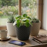 Okacih 3’lü Dekoratif Hasır Desenli Saksı Seti 14 cm 1.6 Lt Rattan Görünümlü Büyük Boy Saksı (Antresit-Beyaz-Vizon)