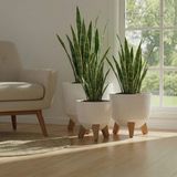 Okacih 3'lü Modern Stick Line Bambu Ayaklı Saksı Akıllı Altlıklı 18 Litre