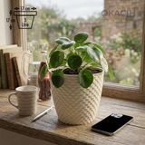 Okacih Hasır Desenli Dekoratif Saksı 3 Litre 17 cm Modern Rattan Görünümlü Iç Mekan Çiçek Saksısı