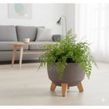 Okacih Modern Stick Line Bambu Ayaklı Saksı Akıllı Altlıklı 23X19 cm 5 Litre