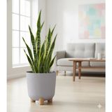 Okacih Modern Stick Line Saksı Akıllı Altlıklı 25X25 cm 9 Litre
