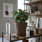 Okacih Modern Tabaklı Saksı 20 cm 5 Litre Dekoratif Saksı