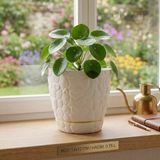 Okacih Taş Desenli Küçük Saksı 12 cm 0,75 Lt Dekoratif Saksı
