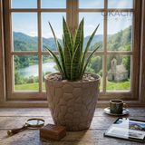 Okacih Taş Desenli Küçük Saksı 20 cm 4 Lt Dekoratif Saksı