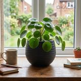 Okacih Yuvarlak Saksı Modern Çizgili Dekoratif Çiçek Saksısı