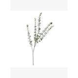 OKALİPTÜS DAL ÇİÇEK 76 CM