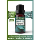 Okaliptus Esansiyel Uçucu Koku Yağı Buhurdanlık Yağı Difüzör Esansı Hobi Esans Ortam Oda Kokusu 10ml