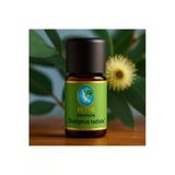 Okaliptus Radiata* Organik %100 Saf Uçucu Yağ 10Ml