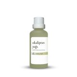 Okaliptus Yağı 50 ml - Ferahlatıcı ve Aromaterapi Yağ