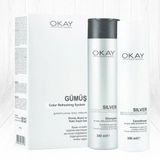OKAY Professional 2x300 ml Sİlver Color Refreshing System Şampuan Krem Set