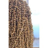 Okra Life Kuru Çiçek Bamya 500 gr