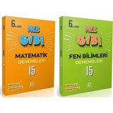 Oksijen Yayınları Oksijen 6. Sınıf Matematik + Fen Bilimleri Lgs Gibi Branş Denemeleri Seti 2 Kitap