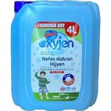 Oksijenli Çamaşır Suyu Çam Kokulu 4 L