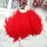 Oktay Sesal 100 Adet Kırmızı Kuş Tüyü Decor Vıp Red Bırd Feather Kırmızı Şeffaf Balon Tüyü Kırmızı Süsleme Tüyü