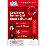OKUL ETİKETİ BASKI OKUL ETİKETİ MİKİ MOUSE TEMALI MİDİ PAKET İSME ÖZEL OKUL ETİKETİ / SULUK ETİKETİ HEDİYELİDİR STICKER TOPLAM 245 ADET