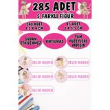 Okul Etiketi Kalem Defter Etiketi Peri Okulu Özel Isimli Etiket 5 Figür - 285 Adet - Renkli - 1,5 x 4 ve 2 x 5,5 Cm