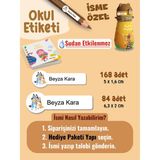 Okul Etiketi SUDAN ETKİLENMEZ, Kalem Defter Etiketi Bluei Temalı Özel Isim Yazılabilen Etiket - 252ADET - Çok Renkli