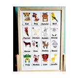Okuling Manyetik Ingilizce Kelime Kartları Flashcards -hayvanlar - Animals