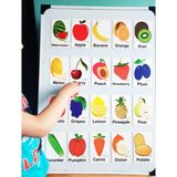 Okuling Manyetik İngilizce Kelime Kartları Meyveler ve Sebzeler - Fruits And Vegetables Mesleki Hazırlık 15 Sayfa