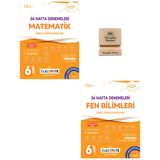 Okyanus 6. Sınıf Classmate Matematik ve Fen Bilimleri 36 Haftalık Deneme + Telefon Standı