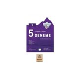Okyanus 9. Sınıf Iceberg 4 Sarmal 1 Genel 5li Deneme + Telefon Standı